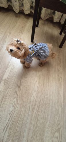 Наши выпускники 