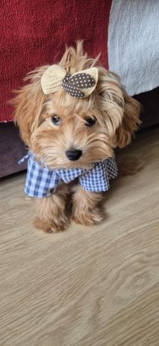 Наши выпускники 