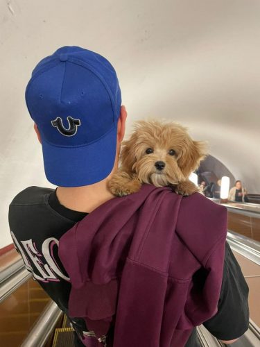 Наши выпускники 