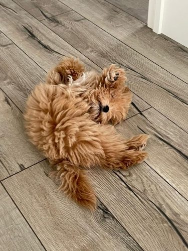 Наши выпускники 