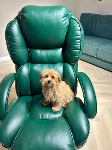 Наши выпускники